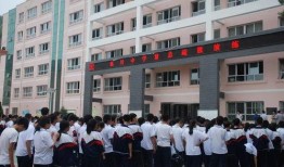 衡安中学爆料事件视频最新,揭秘校园内幕，真相令人震惊！