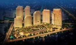 诸城半岛爆料最新消息,揭秘半岛发展新动态