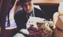 二驴和舒克最新爆料,揭秘娱乐圈幕后真相