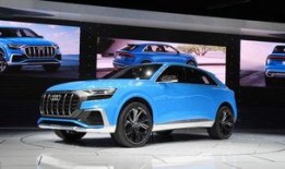 q8最新爆料,揭秘神秘项目背后的惊人真相