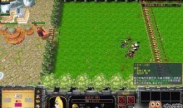 忍法技能爆料大全最新,最新爆料大全深度解析