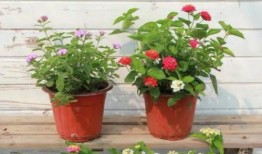 唐山目击爆料视频最新版,现场惊心动魄，真相逐渐浮出水面